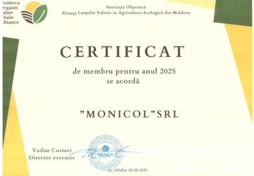 Certification Image